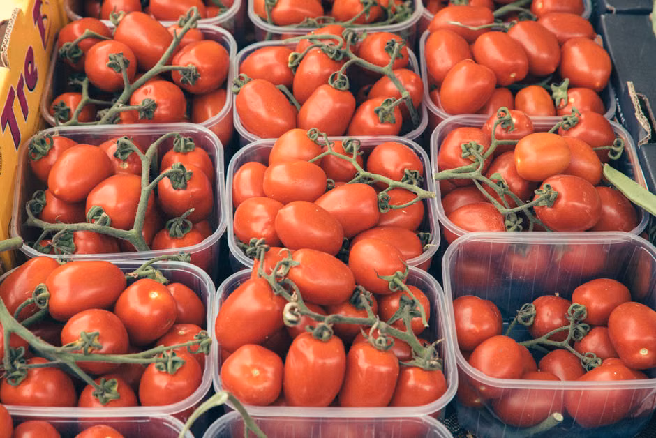 Tomate Italiano (kg)