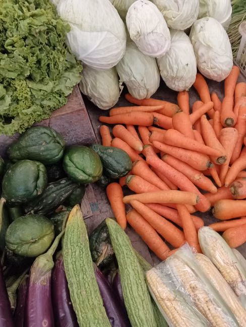 Hortifruti